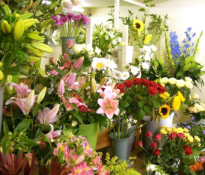 Shop hoa tươi Xã Tam Mỹ