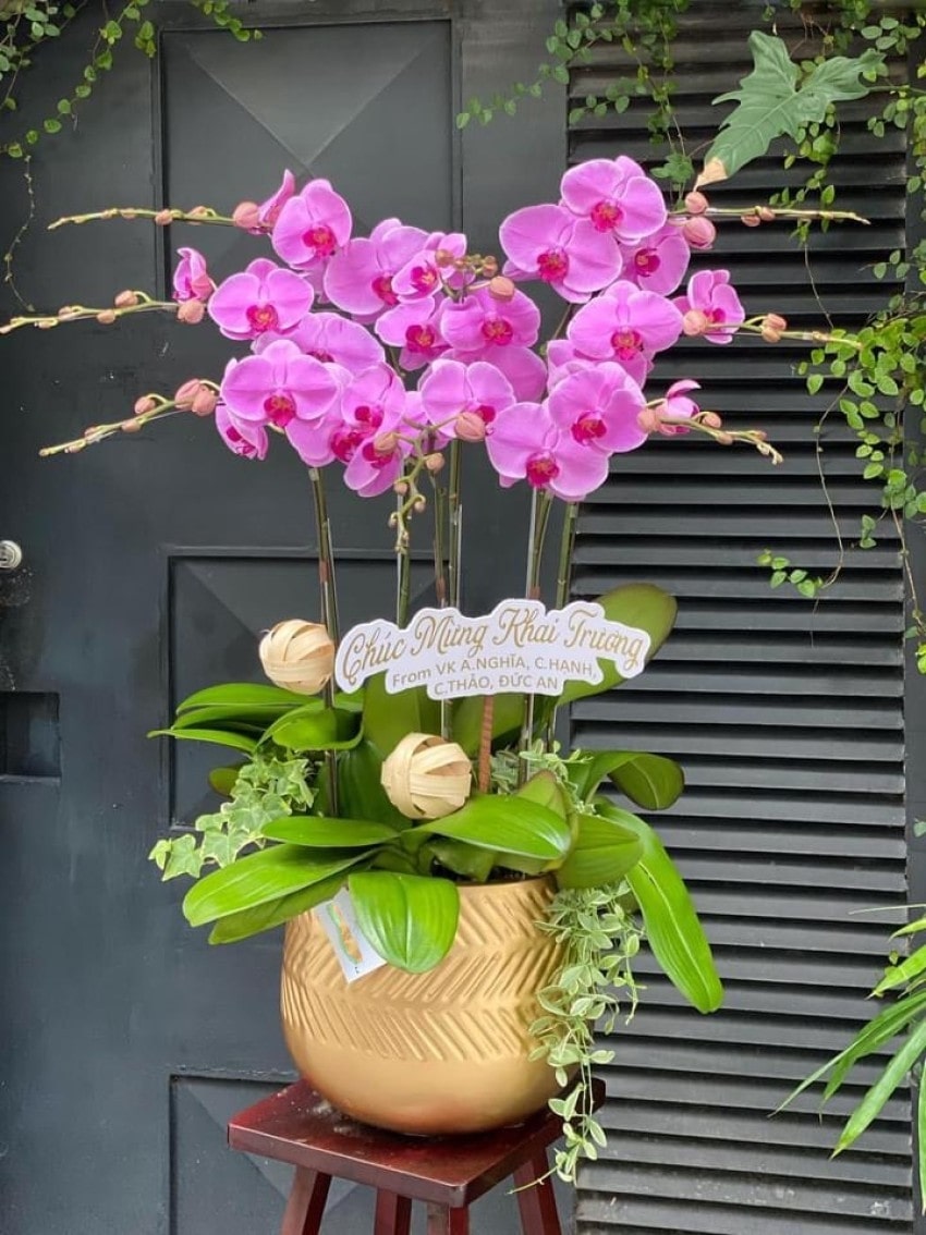 Shop hoa tươi Xã Diên Sanh